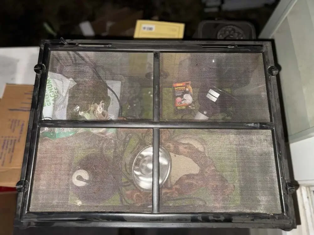 Exo Terra Glass Front-Opening Reptile Terrarium Full Setup with Accessories